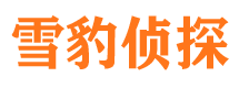 张家川婚外情调查取证